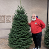 Noble Christmas Tree